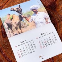 【2026年1月～12月】ティラキタ オリジナルカレンダー 壁掛け(ID-CLEN15-35)