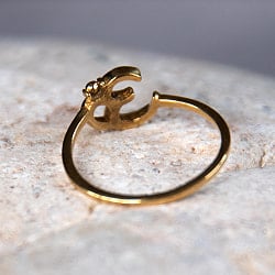 【サイズ別】オーンのリング - サブ2