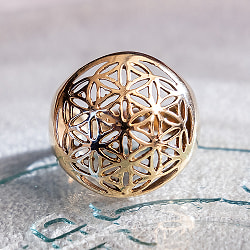 シードオブライフ ブラスリング 生命の種 神聖幾何学模様の指輪 - サブ3