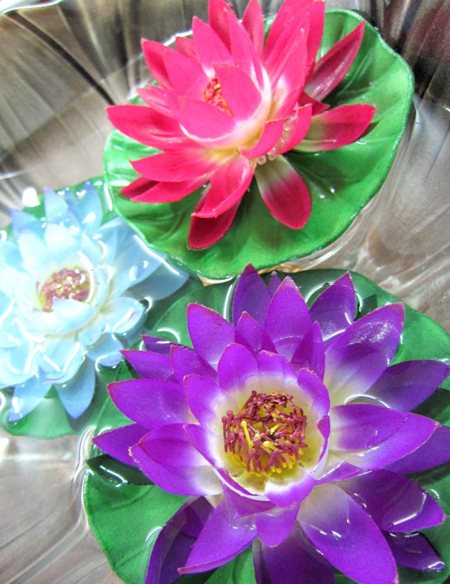 Mサイズ〕水に浮かぶ 睡蓮の造花 - 赤 の通販 - TIRAKITA.COM