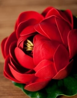 〔約9.5cm〕水に浮かぶ 睡蓮の造花 フローティングロータス - レッド - サブ2