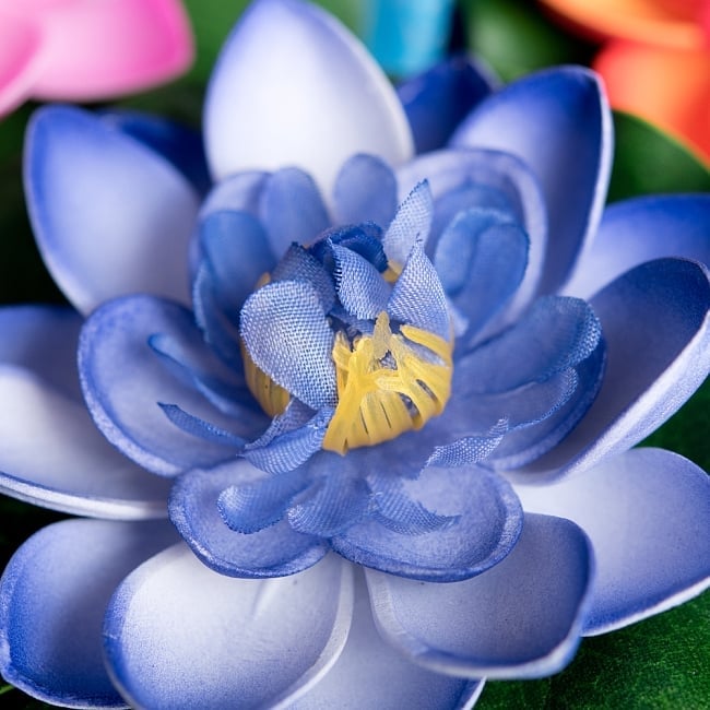 〔約9.5cm〕水に浮かぶ 睡蓮の造花 フローティングロータス 3 - 拡大写真です