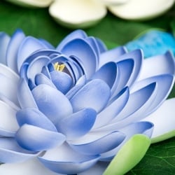 〔約27.5cm〕水に浮かぶ 睡蓮の造花 フローティングロータス - サブ4