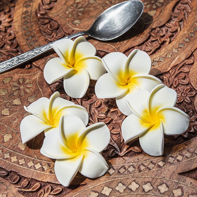 〔約6cm x 3個セット〕水に浮かぶ プルメリアの造花 インドネシア・バリの心の花 4 - テーブルウェアに華を添えるのもおすすめです。