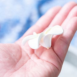 〔約6cm x 3個セット〕水に浮かぶ プルメリアの造花 インドネシア・バリの心の花 - サブ5