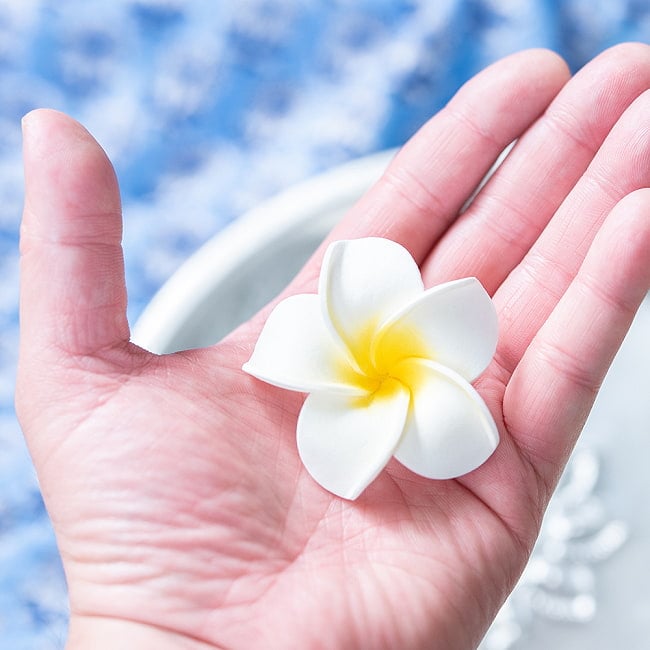 〔約6cm x 30個セット〕水に浮かぶ プルメリアの造花 インドネシア・バリの心の花 2 - 〔約6cm x 3個セット〕水に浮かぶ プルメリアの造花 インドネシア・バリの心の花(ID-HASU-46)の写真です