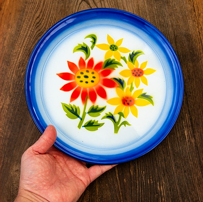 タイのレトロホーロー 花柄飾り皿 RABBIT BRAND〔約25.5cm×約2cm〕 8 - サイズ違いの同ジャンル品との比較写真です。