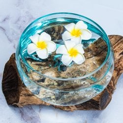 天然木とリサイクルガラスのポット 大 水盆