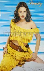 【特大】プリティー・ジンター(Preity Zinta)の商品写真