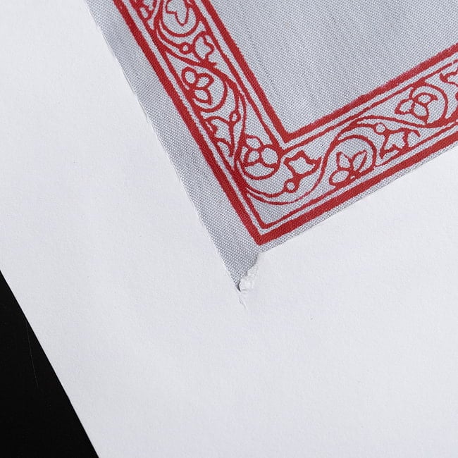  - オディシャ州の伝統絵画 パタチトラ　インドの神話と自然を描いた細密アート【1点物】 8 - 細部を見てみました。