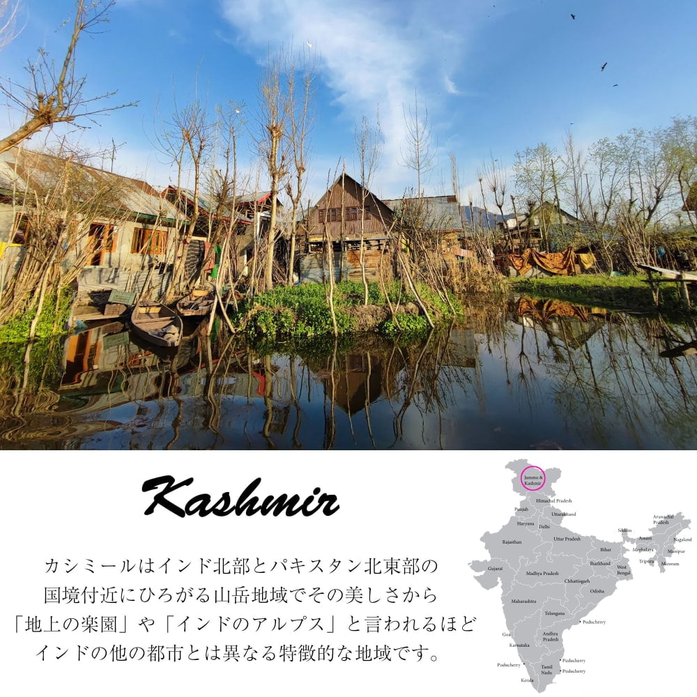 【1点物】チェーンステッチ アリワークが美しい カシミールのウールラグ【約120cm x 180cm】3枚目の説明写真です