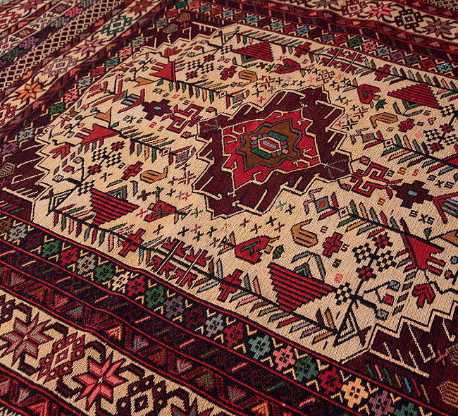 【一点物】バルーチ　カル・ムハマディ族　遊牧民による草木染め手織りトライバルキリム スマック織り - 約196cm x 125cm 8 - 柄をアップにしました