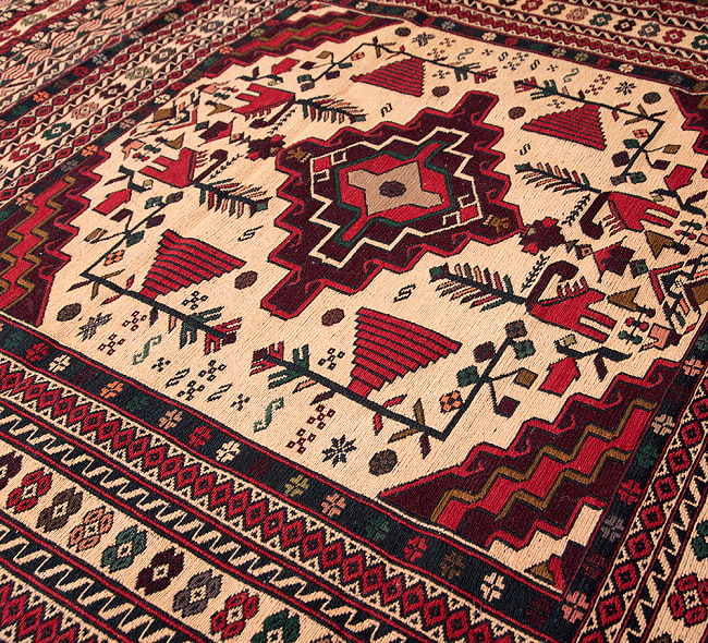 【一点物】バルーチ　カル・ムハマディ族　遊牧民による草木染め手織りトライバルキリム スマック織り - 約197cm x 135cm 9 - 柄をアップにしました