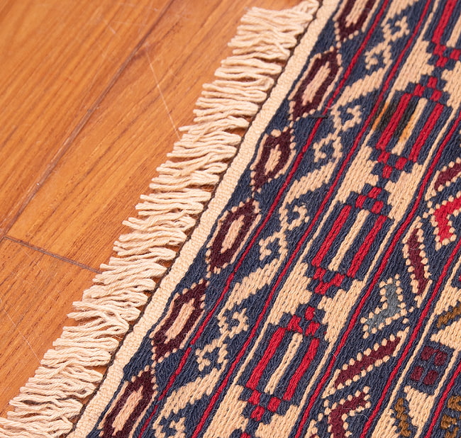 【一点物】バルーチ　カル・ムハマディ族　遊牧民による草木染め手織りトライバルキリム スマック織り - 約190cm x 126cm 12 - フリンジ周辺を拡大しました
