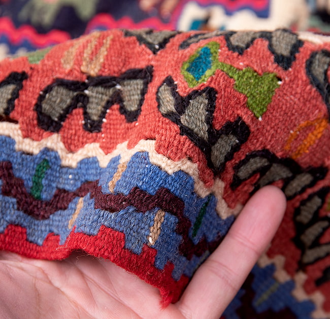 【一点物】バルーチ　カル・ムハマディ族　遊牧民による草木染め手織りトライバルキリム スリット織り - 約147cm x 125cm 10 - 柄をアップにしました