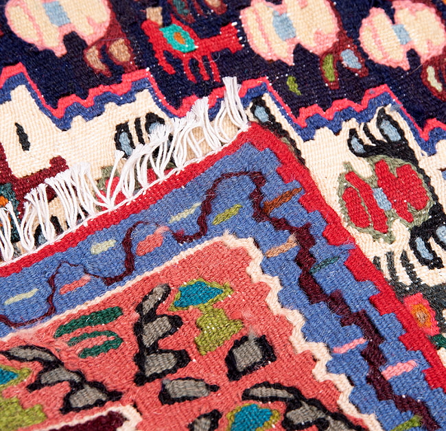 【一点物】バルーチ　カル・ムハマディ族　遊牧民による草木染め手織りトライバルキリム スリット織り - 約147cm x 125cm 11 - 両面に同じデザインがくる織り方で織られています