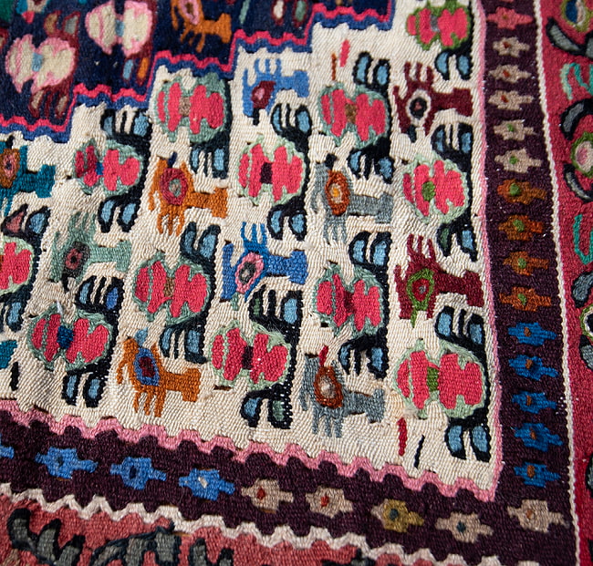【一点物】バルーチ　カル・ムハマディ族　遊牧民による草木染め手織りトライバルキリム スリット織り - 約147cm x 125cm 5 - 柄をアップにしました