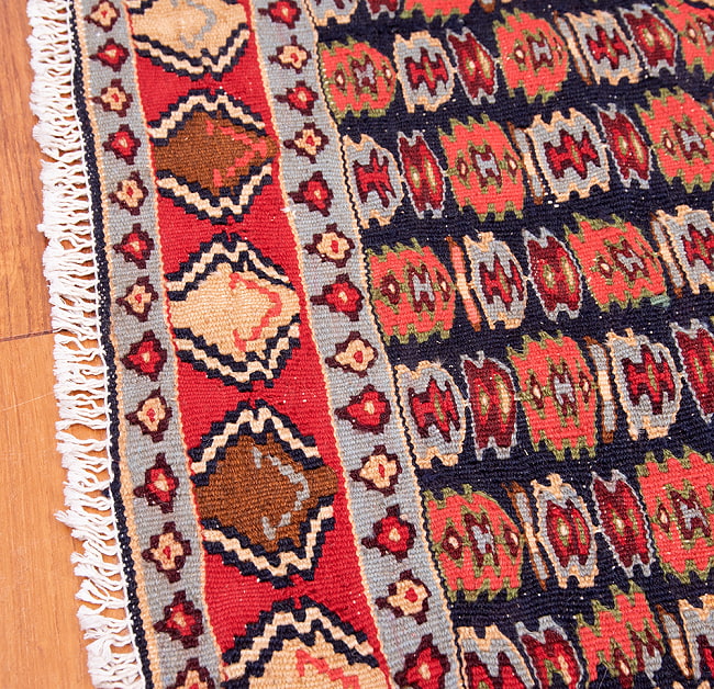 【一点物】バルーチ　カル・ムハマディ族　遊牧民による草木染め手織りトライバルキリム スリット織り - 約158cm x 125cm 10 - フリンジ周辺です
