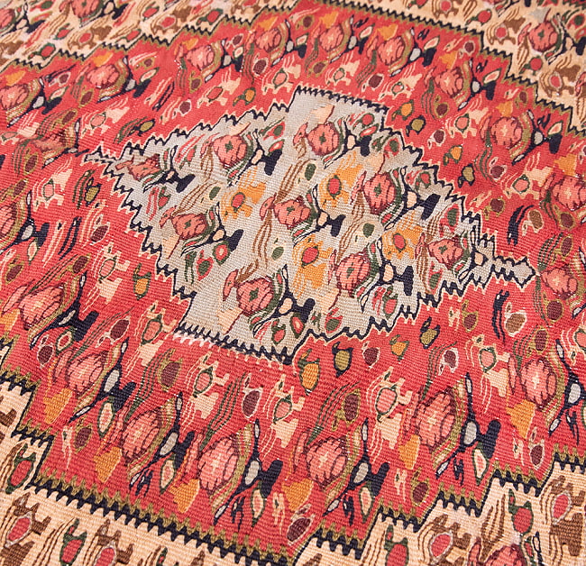 【一点物】バルーチ　カル・ムハマディ族　遊牧民による草木染め手織りトライバルキリム スリット織り - 約132cm x 107cm 9 - 柄をアップにしました