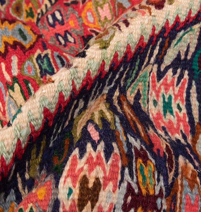 【一点物】バルーチ　カル・ムハマディ族　遊牧民による草木染め手織りトライバルキリム スリット織り - 約107cm x 75cm 7 - 柄をアップにしました