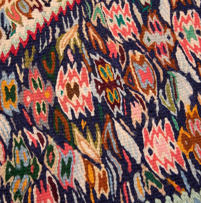 【一点物】バルーチ　カル・ムハマディ族　遊牧民による草木染め手織りトライバルキリム スリット織り - 約107cm x 75cm 8 - 柄をアップにしました