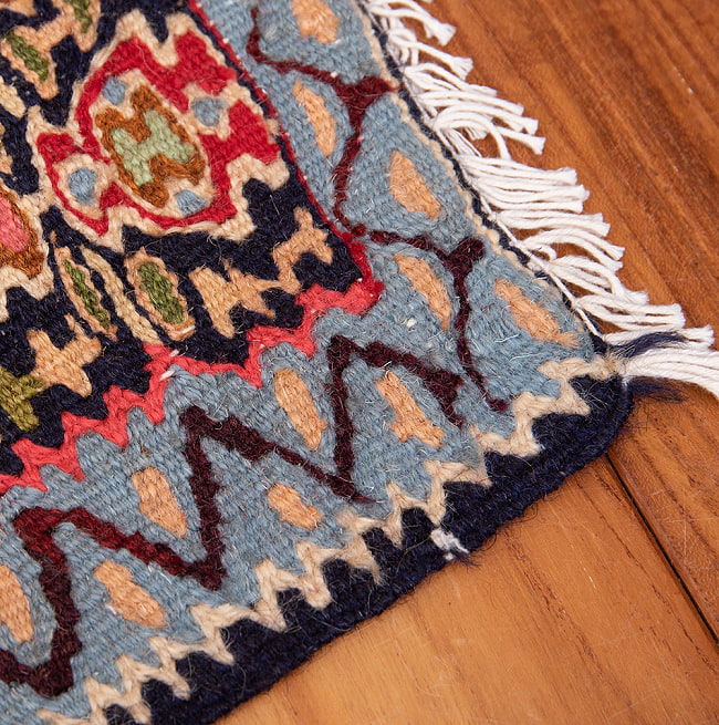 【一点物】バルーチ　カル・ムハマディ族　遊牧民による草木染め手織りトライバルキリム 曲線織り - 約97cm x 76cm 10 - フリンジ周辺です