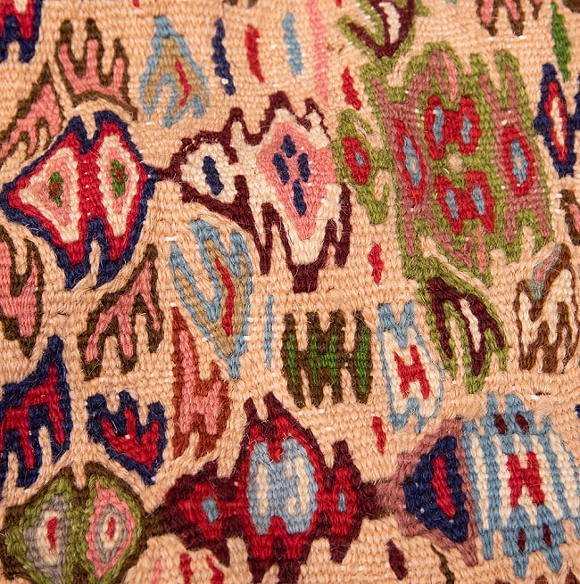 【一点物】バルーチ　カル・ムハマディ族　遊牧民による草木染め手織りトライバルキリム 曲線織り - 約109cm x 86cm 8 - 柄をアップにしました