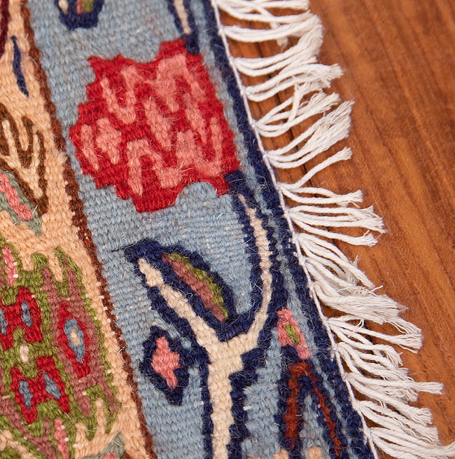 【一点物】バルーチ　カル・ムハマディ族　遊牧民による草木染め手織りトライバルキリム 曲線織り - 約109cm x 86cm 9 - フリンジ周辺です