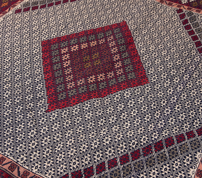 【一点物】バルーチ　カル・ムハマディ族　遊牧民による草木染め手織りトライバルキリム スマック織り - 約200cm x 130cm 8 - 柄をアップにしました