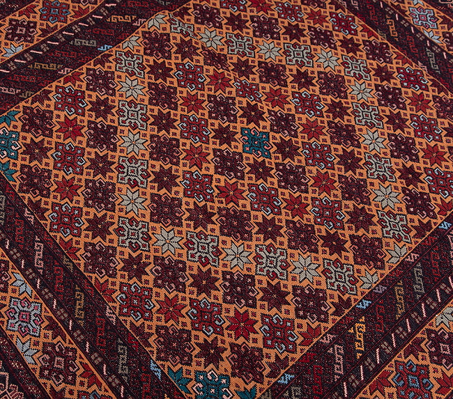 【一点物】バルーチ　カル・ムハマディ族　遊牧民による草木染め手織りトライバルキリム スマック織り - 約185cm x 122cm 9 - 柄をアップにしました