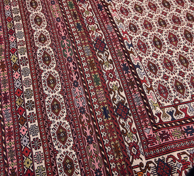 【一点物】バルーチ　カル・ムハマディ族　遊牧民による草木染め手織りトライバルキリム スマック織り - 約190cm x 120cm 10 - 柄をアップにしました