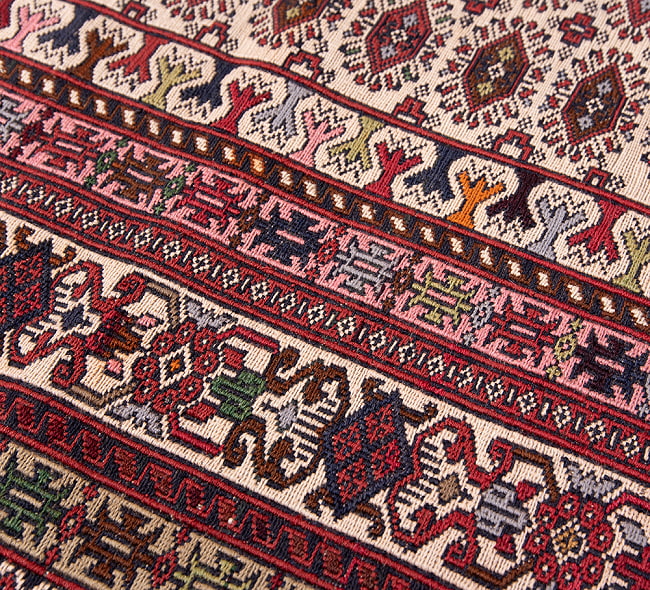 【一点物】バルーチ　カル・ムハマディ族　遊牧民による草木染め手織りトライバルキリム スマック織り - 約190cm x 120cm 8 - 柄をアップにしました