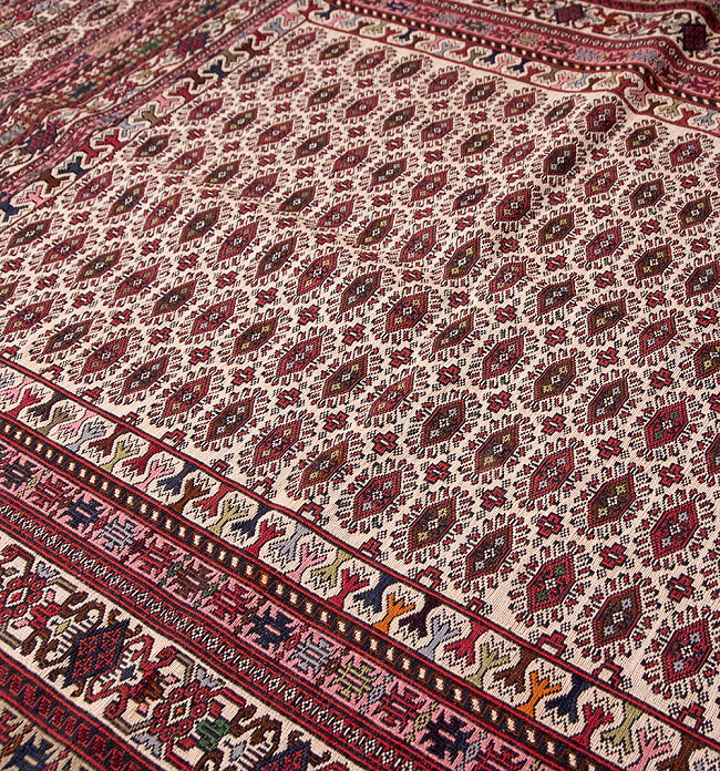 【一点物】バルーチ　カル・ムハマディ族　遊牧民による草木染め手織りトライバルキリム スマック織り - 約190cm x 120cm 9 - 柄をアップにしました