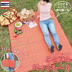 【アソート】タイからやってきた　ストロー素材のどこでもバッグシート　レジャーシート　ござの商品写真