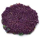 ヘンプコースター　紫の商品写真