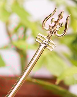 ゴールデンかんざし　三叉の画像