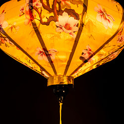 華やかな柄入り　ベトナム伝統のホイアン・ランタン(提灯) - 薄ひし形〔木蓮模様〕 - サブ5