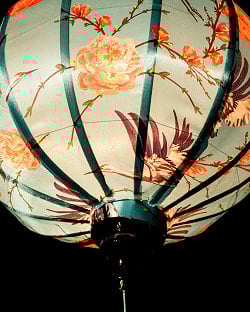 華やかな柄入り　ベトナム伝統のホイアン・ランタン(提灯) - 丸型〔鶴と牡丹吉祥模様緑〕 - サブ5