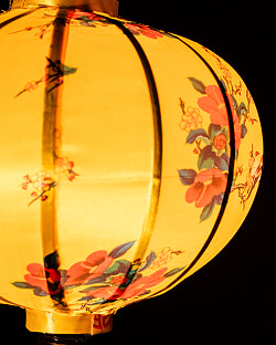 華やかな柄入り　ベトナム伝統のホイアン・ランタン(提灯) - 丸型〔椿模様黄色〕 - サブ4