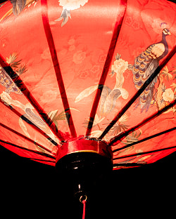 華やかな柄入り　ベトナム伝統のホイアン・ランタン(提灯) - 薄ひし形〔花鳥模様赤〕 - サブ5