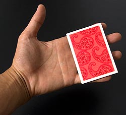 インドのメッセージカードセット - minal - サブ4