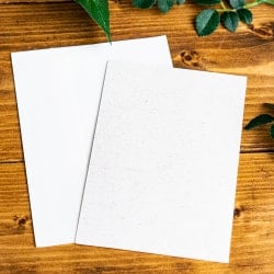 インドの押し葉メッセージカード＆封筒セット - GREETING CARD - サブ3