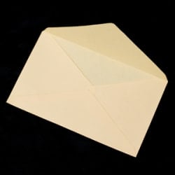 インドの押し葉メッセージカード&封筒セット - GREETING CARDの選択用写真