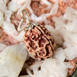 【3面】ルドラクシャのペンダントトップ - サブ2