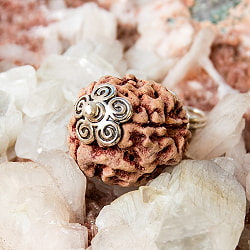 【3面】ルドラクシャのペンダントトップ - サブ3