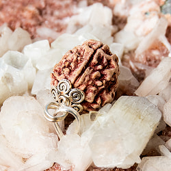 【3面】ルドラクシャのペンダントトップ - サブ4