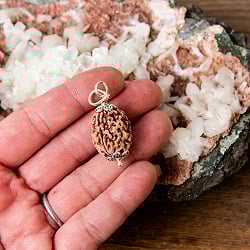 【3面】ルドラクシャのペンダントトップ - サブ5