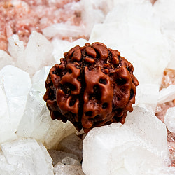 【4面】ルドラクシャ 1.5x1.5cm程度 - サブ2