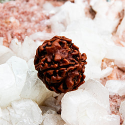 【4面】ルドラクシャ 1.5x1.5cm程度 - サブ3