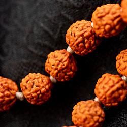 インドの数珠 ネックレス- ルドラクシャ - サブ2